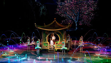 The House of Dancing Water The House of Dancing Water